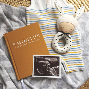 Write To Me: Pregnancy Journal - 9 Months, The Beginning Of You - GFP Babies Newborn Photography