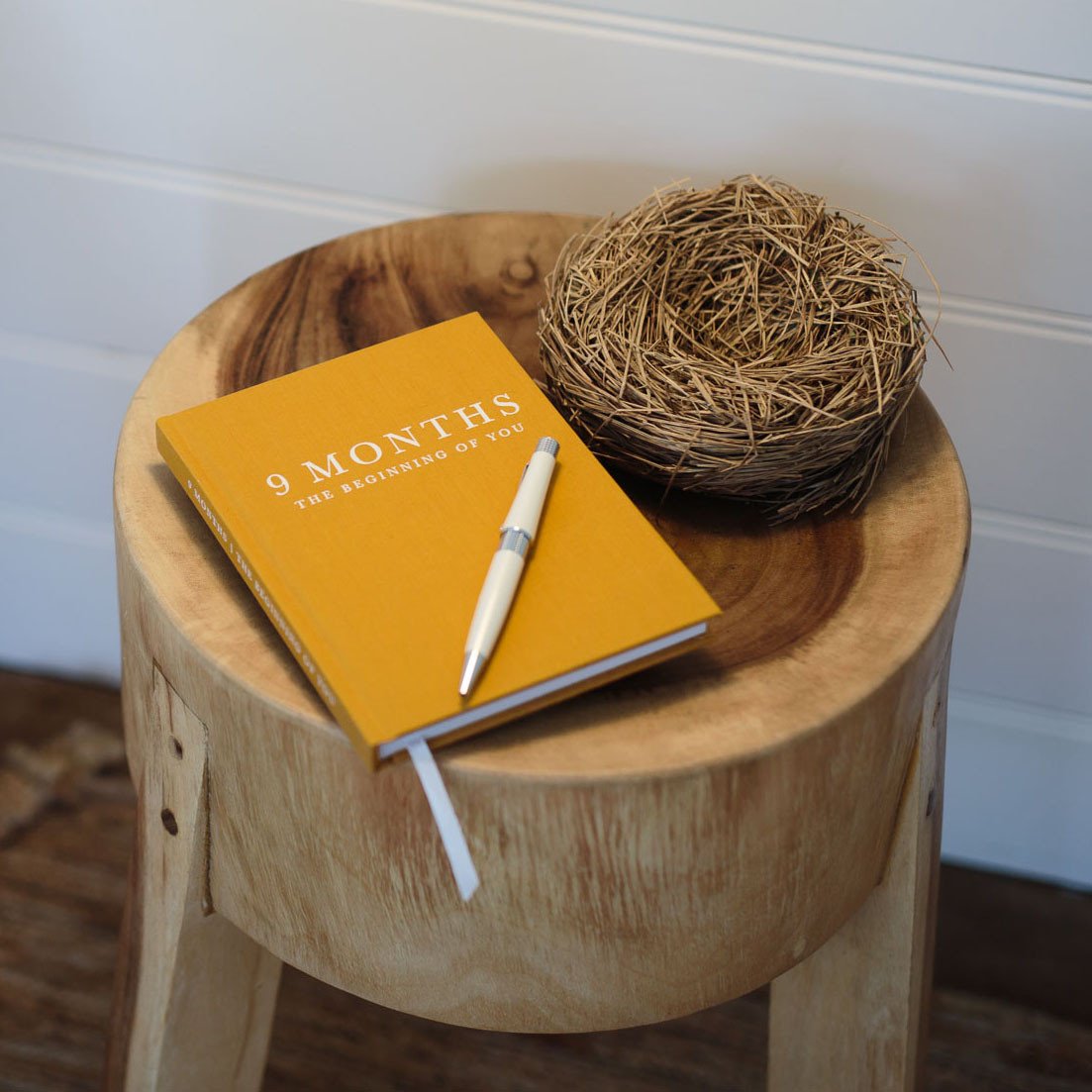 Write To Me: Pregnancy Journal - 9 Months, The Beginning Of You - GFP Babies Newborn Photography