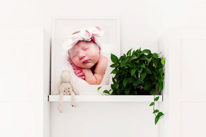 Wall Art - GFP Babies Newborn Photography